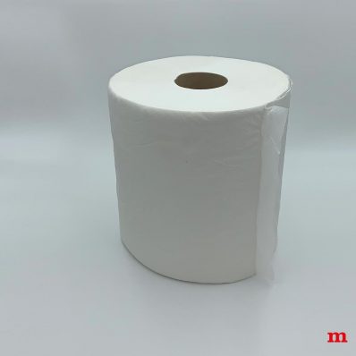 Toilettenpapier Gigant